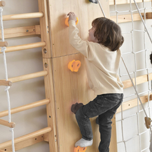 Load image into Gallery viewer, Kids Swedish Wall Gym and Ladder
